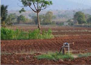 Adapter l'irrigation pour préparer l'agriculture indienne au changement climatique