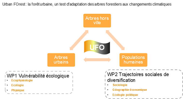Différents volets du projet CLIMAE UFO